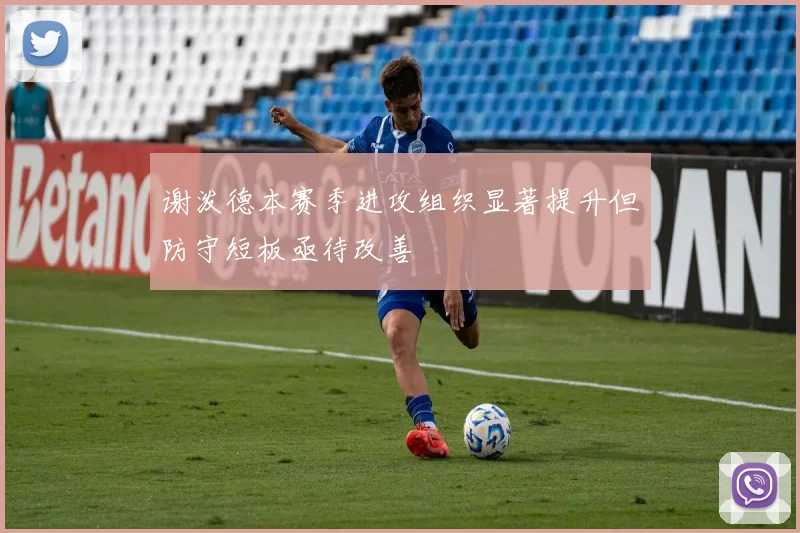 谢泼德本赛季进攻组织显著提升但防守短板亟待改善